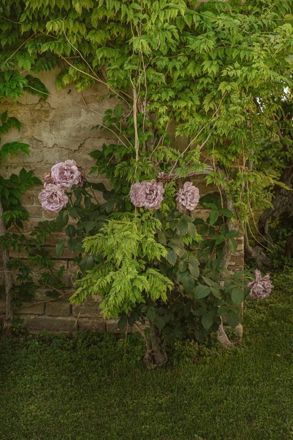 Villa Corallo Sant'Omero Екстериор снимка