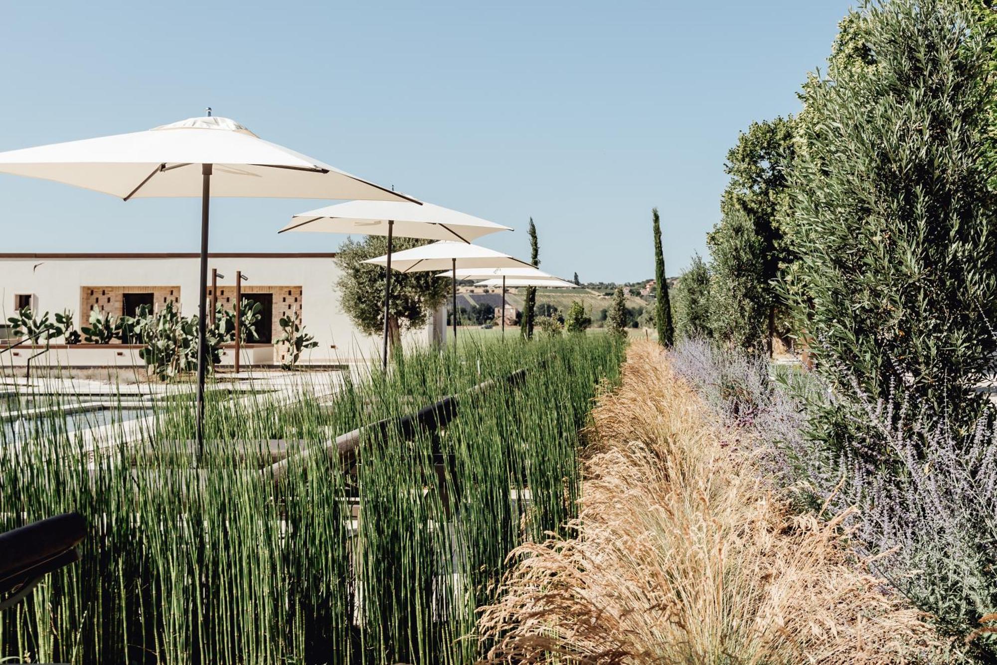 Villa Corallo Sant'Omero Екстериор снимка